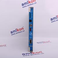 sales6@amikon.cn——Bently Module 丨3500 / 15-02-02-00丨Power module